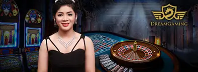 LV224 dream gaming live casino