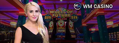 LV224 wm live casino